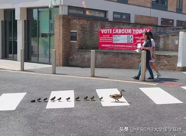 留学兰卡斯特大学,兰卡斯特大学怎么样值得读吗