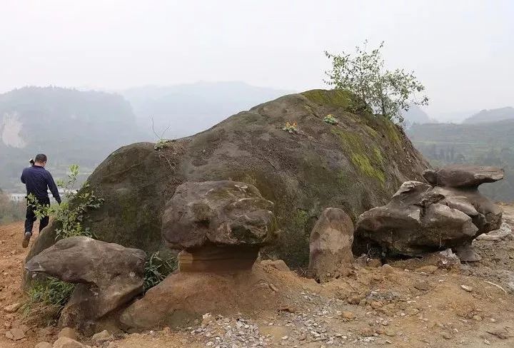 春笋人间四月天,人间四月天吃春笋