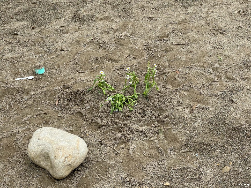 成都人会玩的景点,成都凤凰山公园可以爬山吗