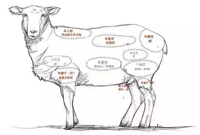 有没有比海底捞还好吃的火锅,说实话比海底捞还好吃的火锅