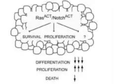 硬货的解析,硬货必买的10种