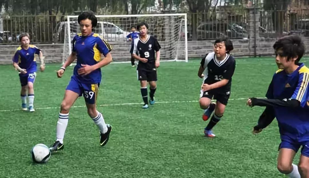 如何改革体育教育,当下体育教育现状