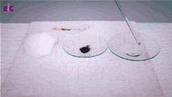 一秒钟看懂化学反应,33种化学原理