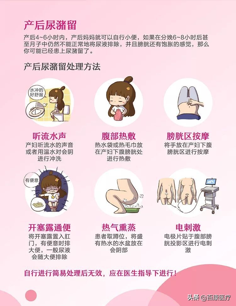 科普视频盆底肌康复训练,盆底肌医学讲解