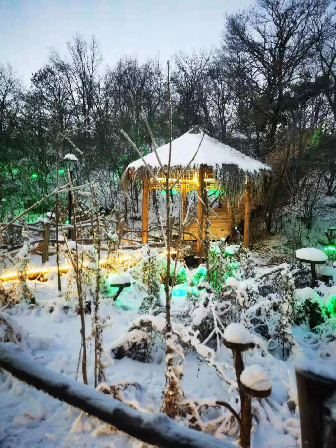 长春冰雪新天地最新消息,长春冰雪新天地开了么