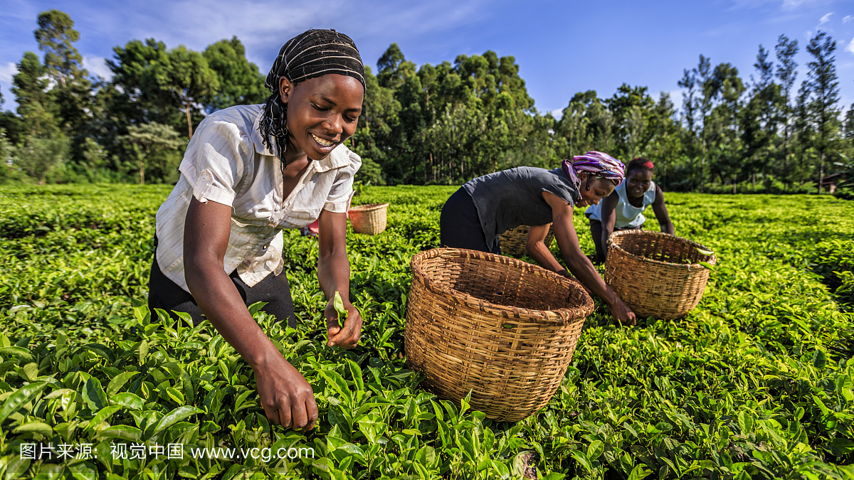 东部非省会第一城,东部非省会城市