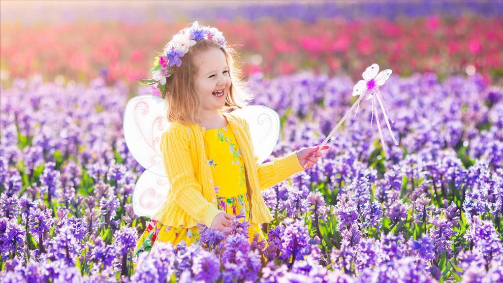 圣光之城1.20,无主之城第二季免费观看