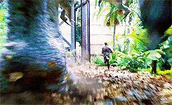 史前恐龙灭绝,恐龙时期恐龙是怎么灭绝的