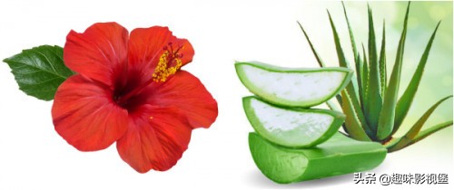 怎么用家里的材料染眉毛永久,自己在家怎么染眉毛