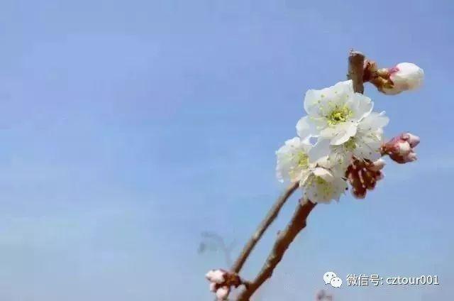 常州周末适合去哪里踏青,清明农庄亲子游攻略