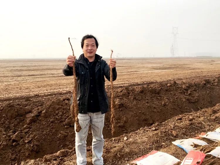 你总胃不舒服？肚子大？这条【养胃秘诀】快跟我试试