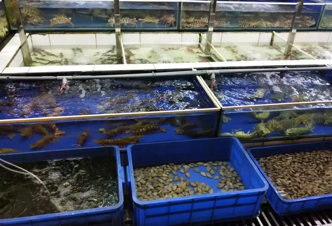 岘港有哪些越南特色美食餐馆推荐,岘港美食很好吃