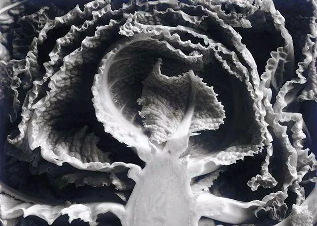 物体拍照摄影技巧,拍摄艺术物体技巧与角度视频