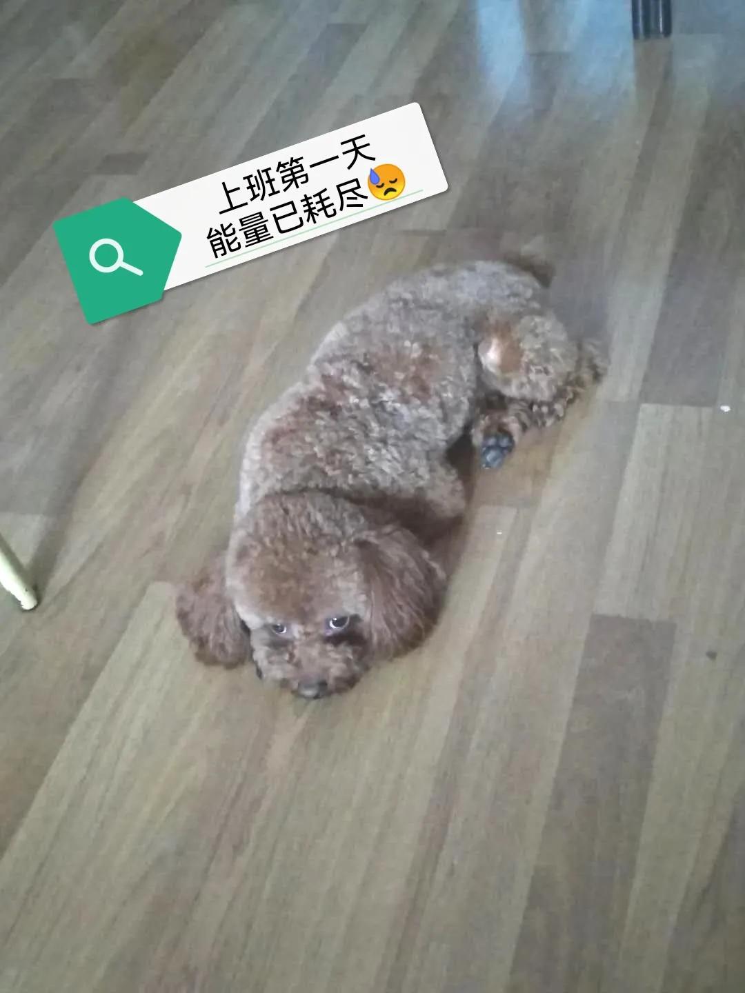 国庆七天乐毕福剑主持,国庆七天乐已经正式拉开帷幕