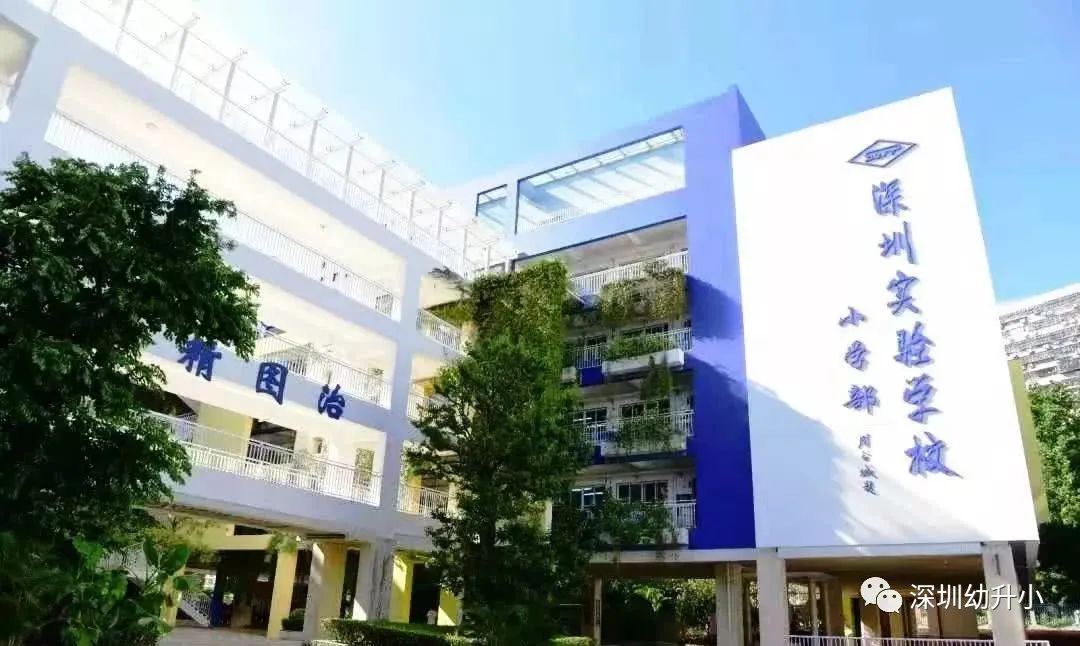 深圳top10学校,深圳初中十大名校排名