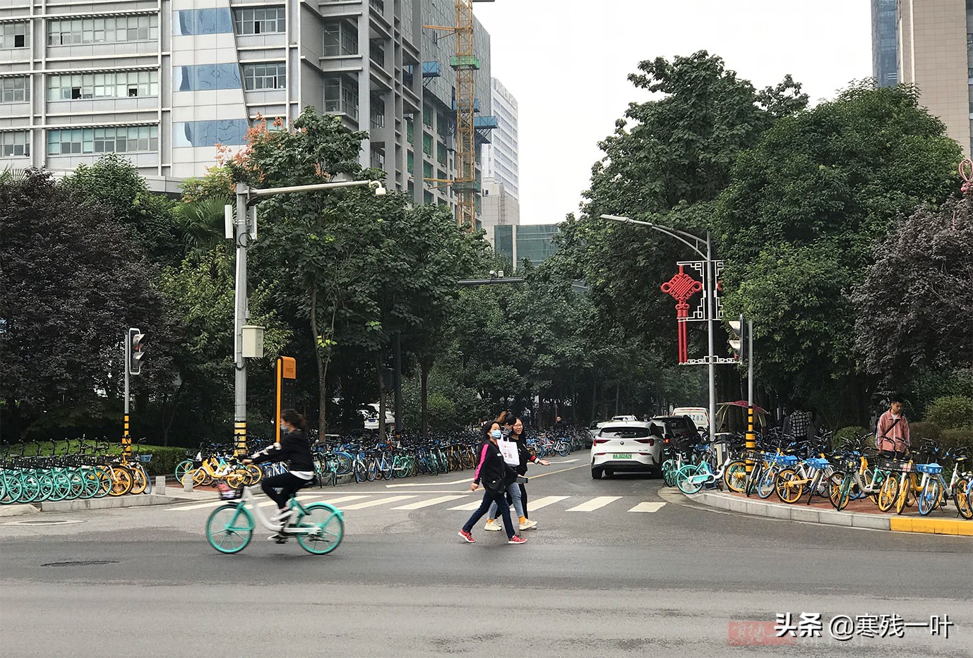 大度的西安，成公共自行车在国内发展最好的城市，全城人都在骑