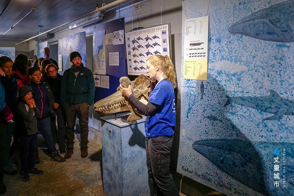 维京遇到全域旅游，美丽乡村、特色小镇一网打尽：挪威渔业史漫步