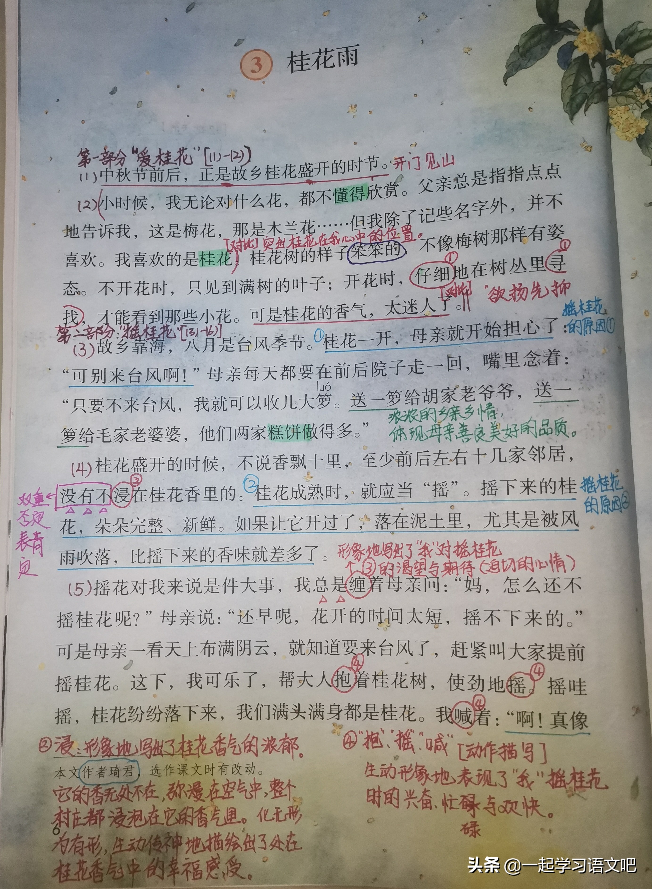 五年级上册语文第一单元必考试卷,五上语文五单元考点检测