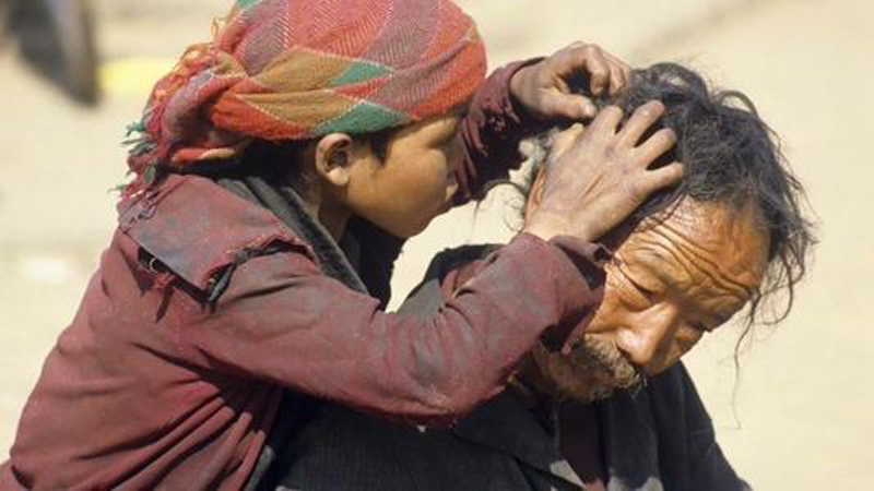 80年代农村为什么虱子多,为何30年前农村男女老少都有虱子