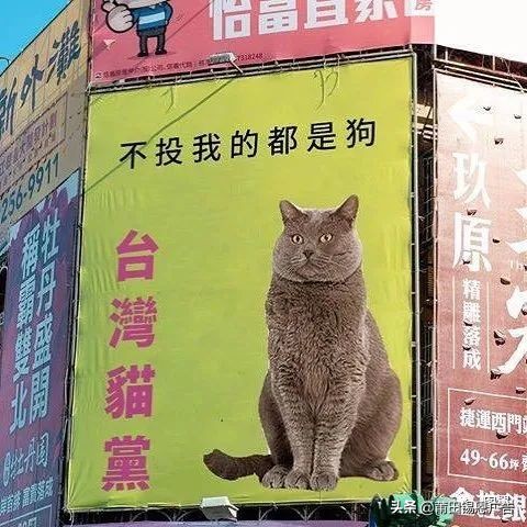 湾湾街头骚断腿的文案,不知节省了多少广告费