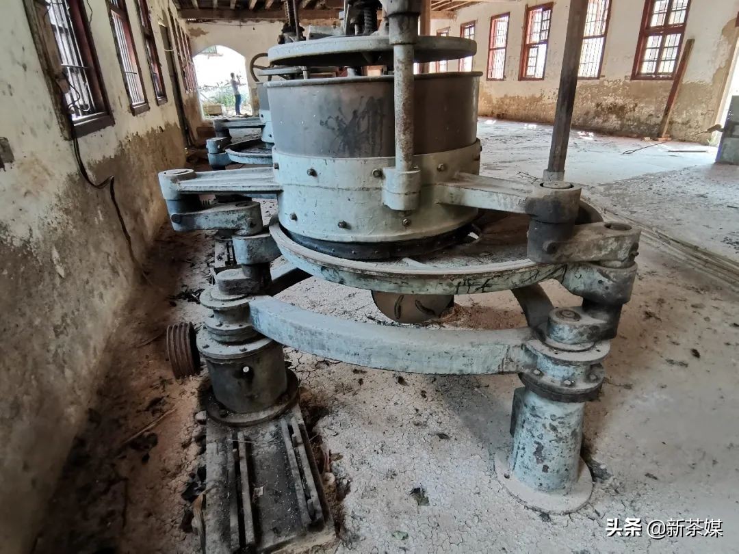 南糯山茶叶的故事,南糯山茶厂视频