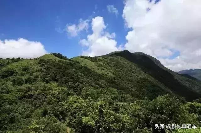 深圳60个最适合一日免费景点,暑假深圳旅游必去十大景点