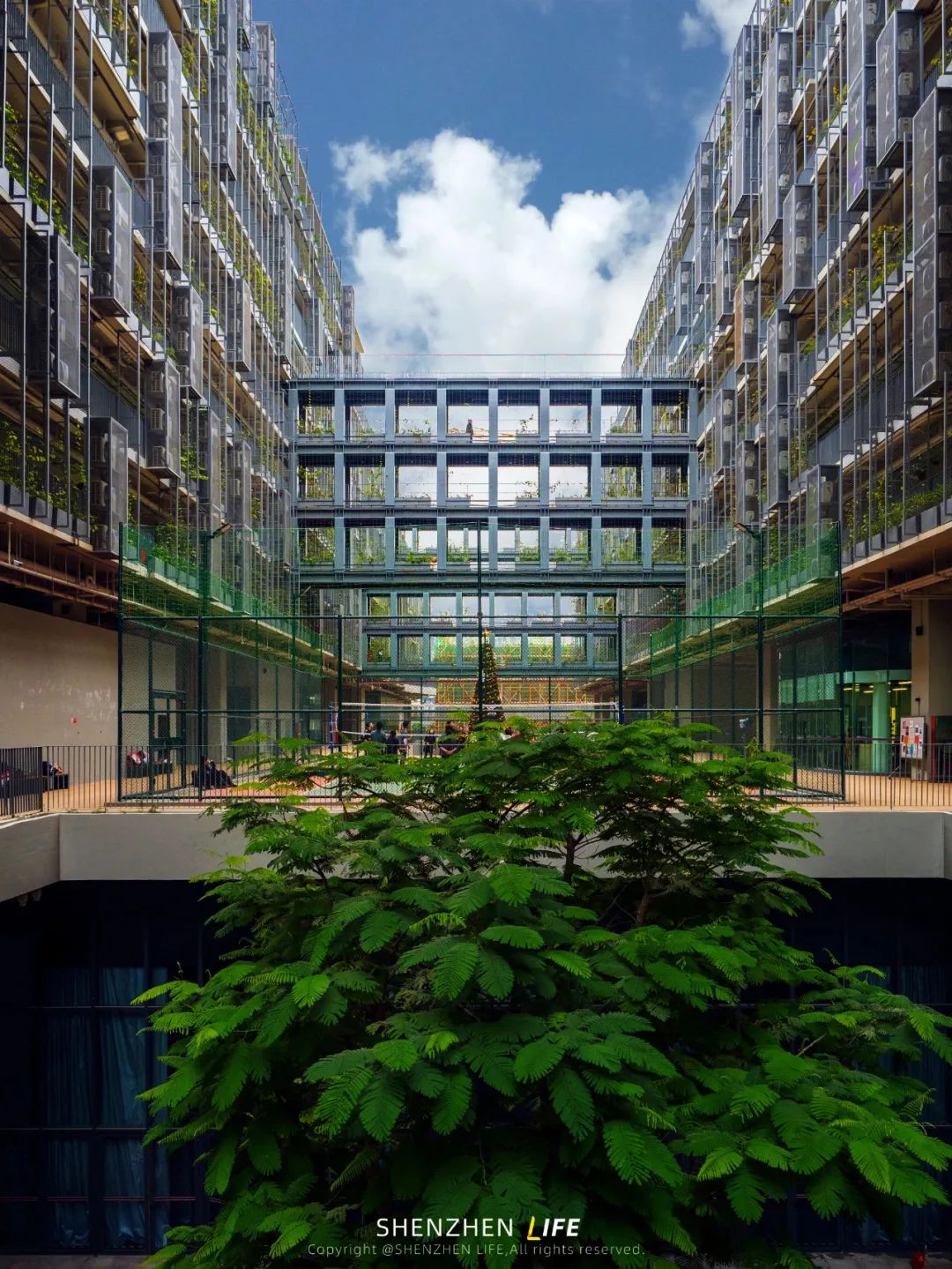 国际学校牛剑录取率排名,亚洲牛剑录取最多的学校