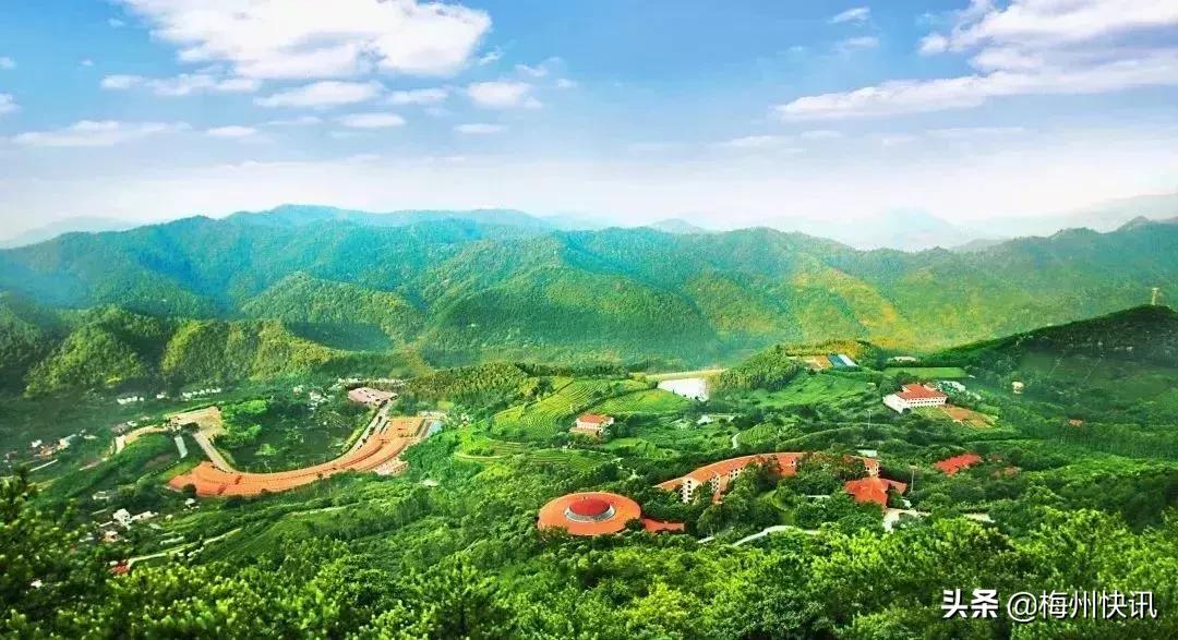 对不起，我要回梅州了！