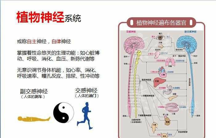 失眠的时候如何快速入睡,失眠的时候怎么才能快速入睡