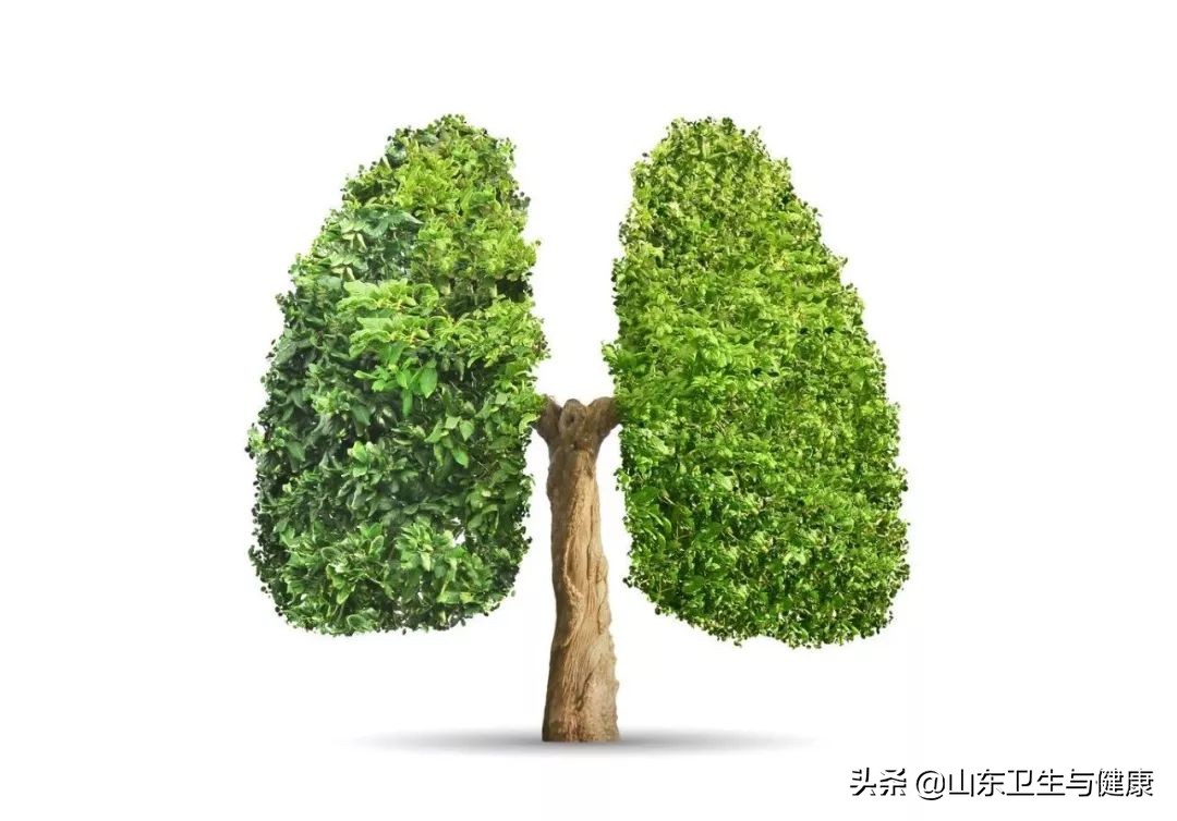 体检查出肺结节该怎么办,肺结节一年复查又出现磨玻璃结节