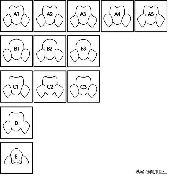 怎么让猫主动求抱抱,如何让猫给撸给抱