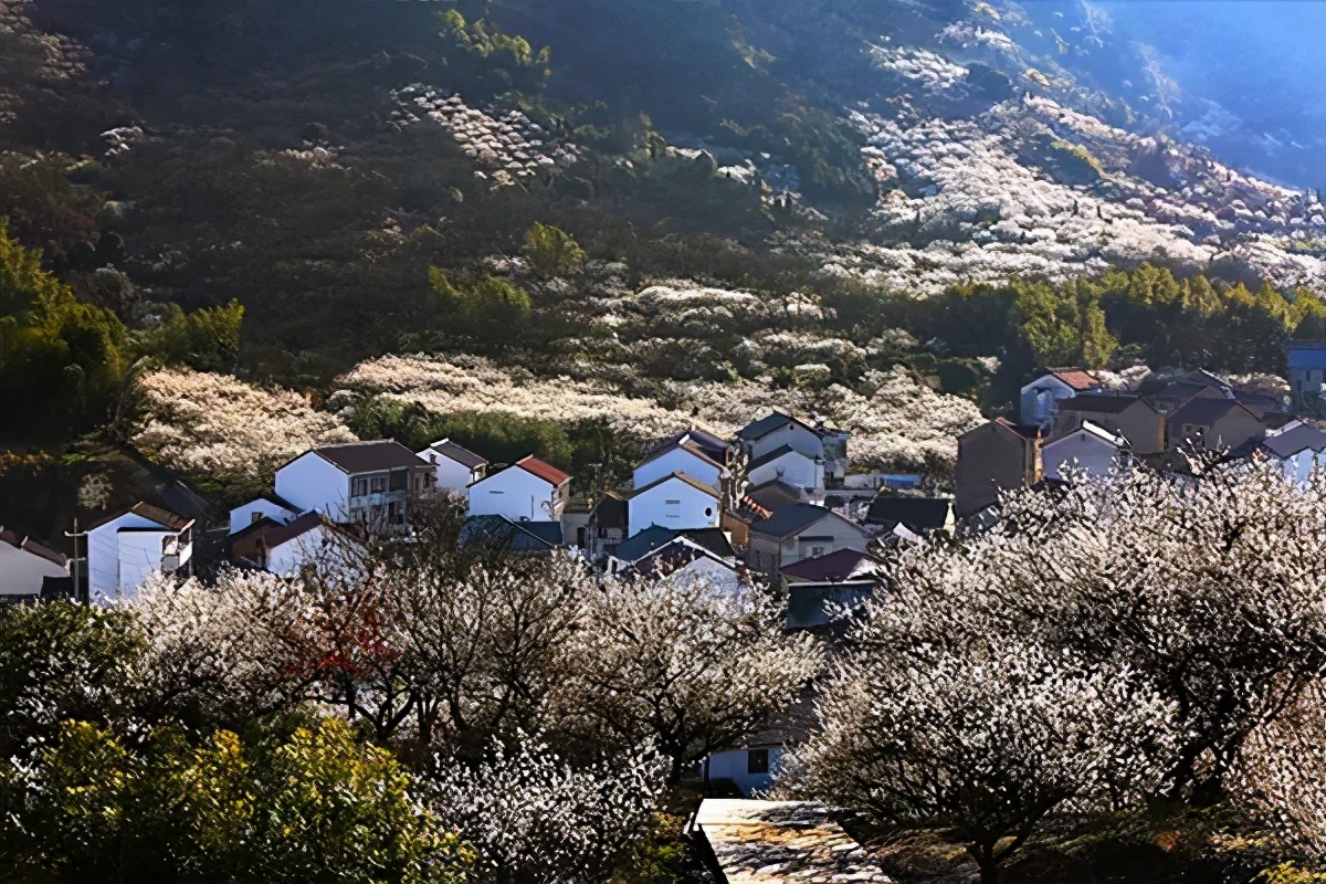 长三角城市群最佳旅游线路,长三角示范区旅游详细攻略
