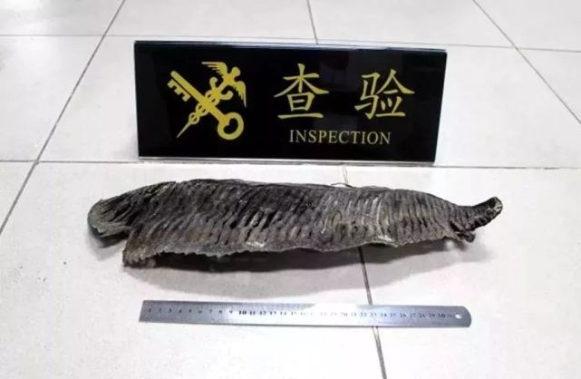 香港澳门出境不能多带的东西,去香港澳门哪些东西不能带