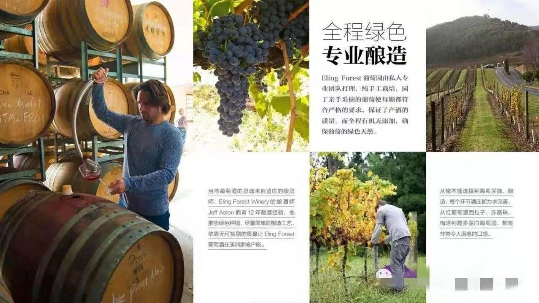 澳大利亚红酒小知识大全,一文了解意大利红酒
