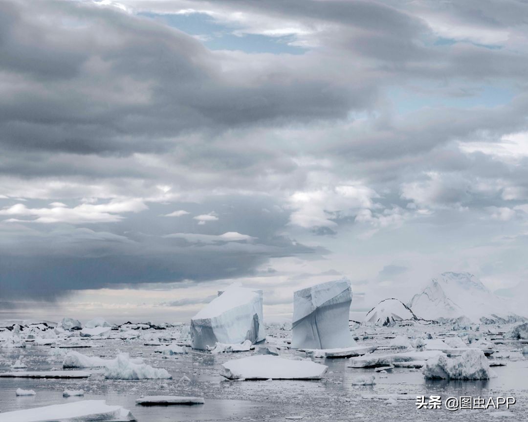 图虫opensealab摄影,图虫看动物世界系列