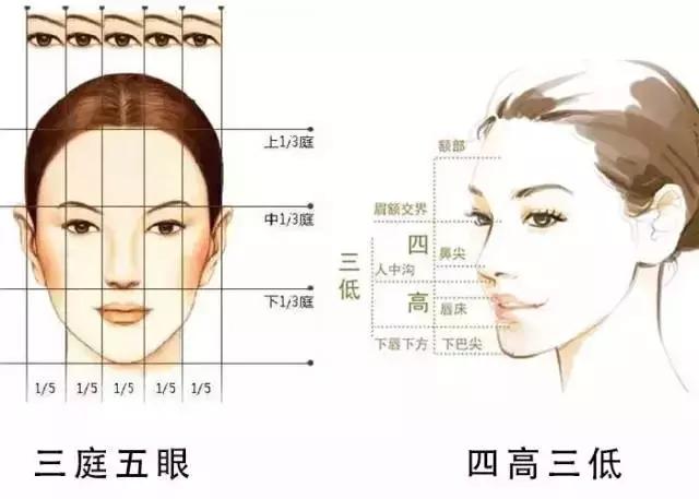 中国标准美女的脸型,美女的标准脸分布图