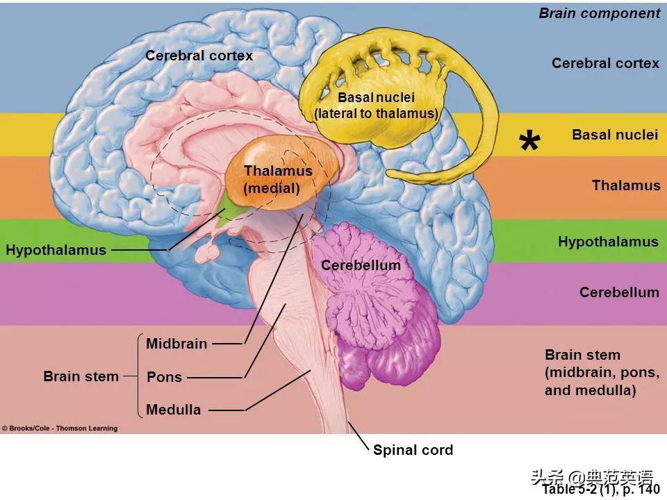 孩子明明没时间,新教改阅读量却猛增3倍?原来是希望父母这样做
