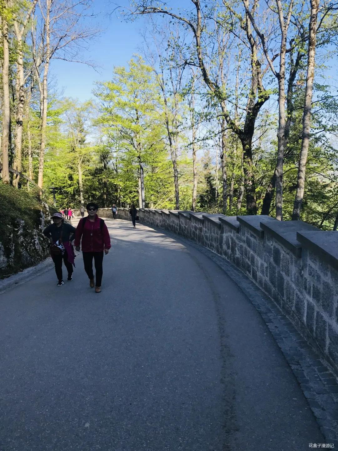 从慕尼黑到瑞士,从德国慕尼黑到瑞士