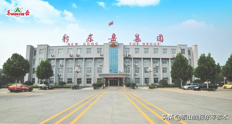 泰安市政府任命张涛,市政府张涛