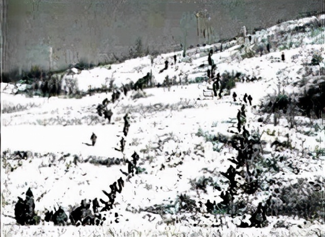 长津湖战役冰血下的猛虎,冰血长津湖战役美军照片