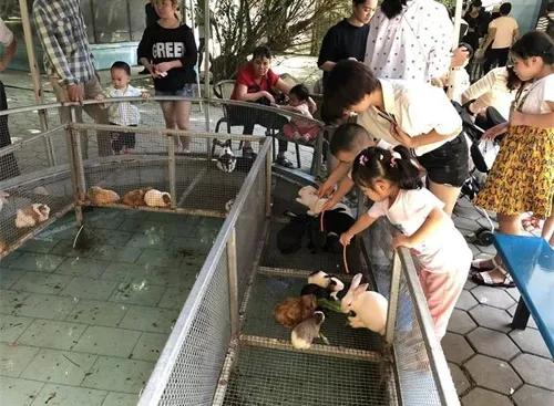 农村十大赚钱职业,农村最赚钱的4个行业