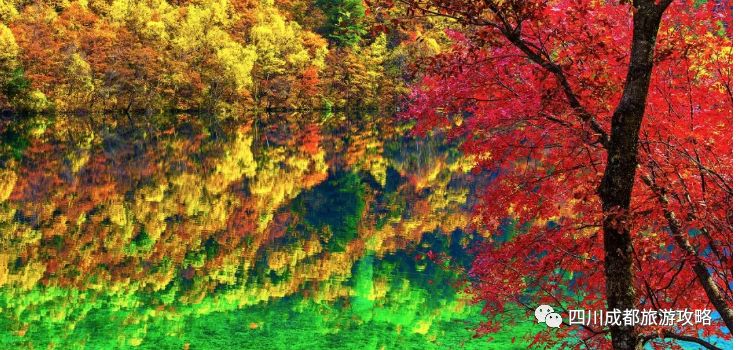 九寨沟跟阿坝州旅游,九寨沟与周边游