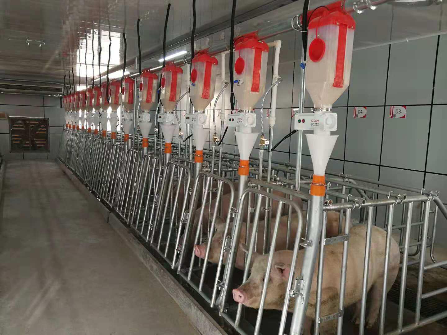 京东金融转型数字科技,京东金融数字化转型