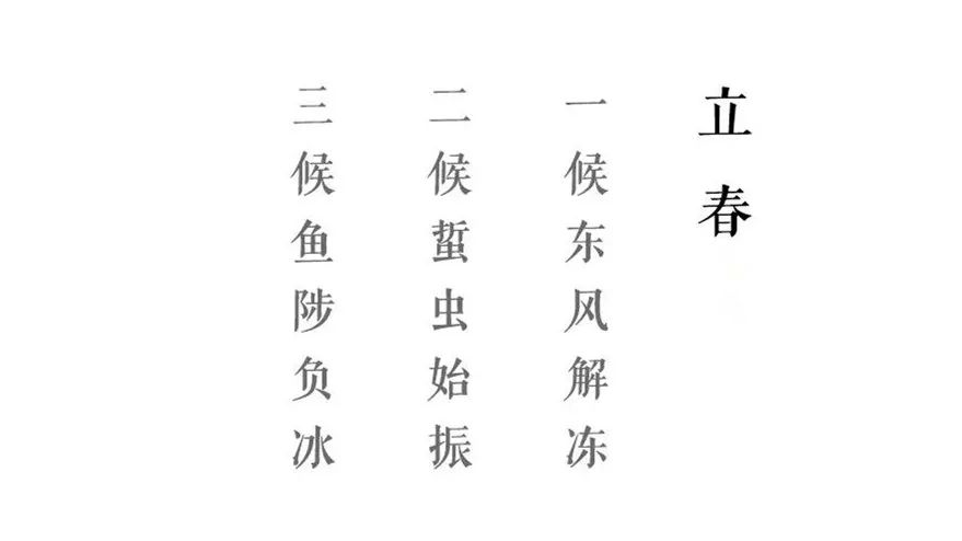 牛肉汤米线视频,牛肉汤酸浆米线
