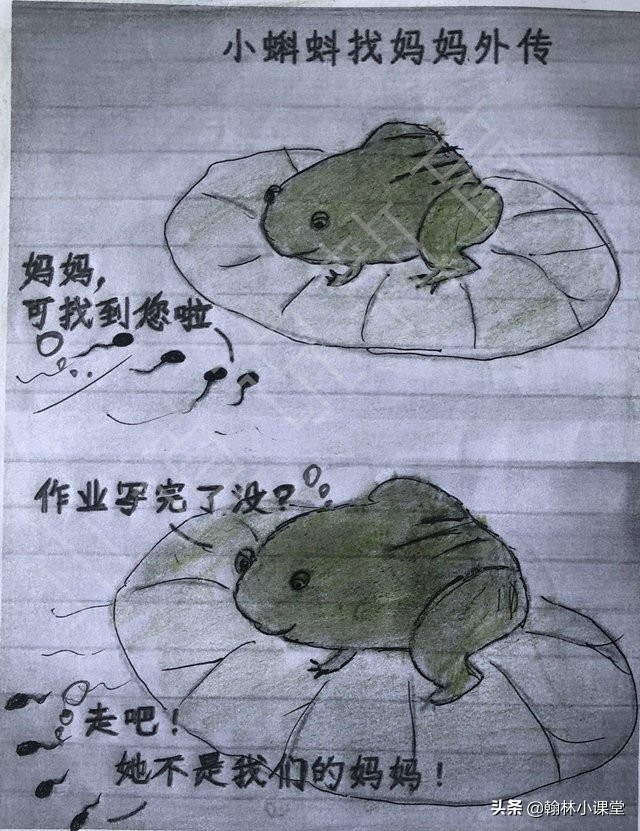 小学生考0分火了老师哑口无言,小学生0分作文网友称太有才