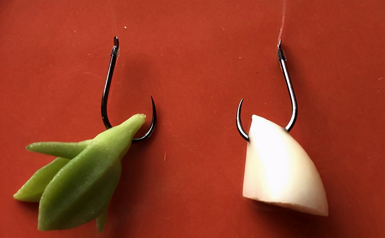 大蒜能钓鱼吗效果怎么样,大蒜避小杂鱼钓鲫鱼绝招