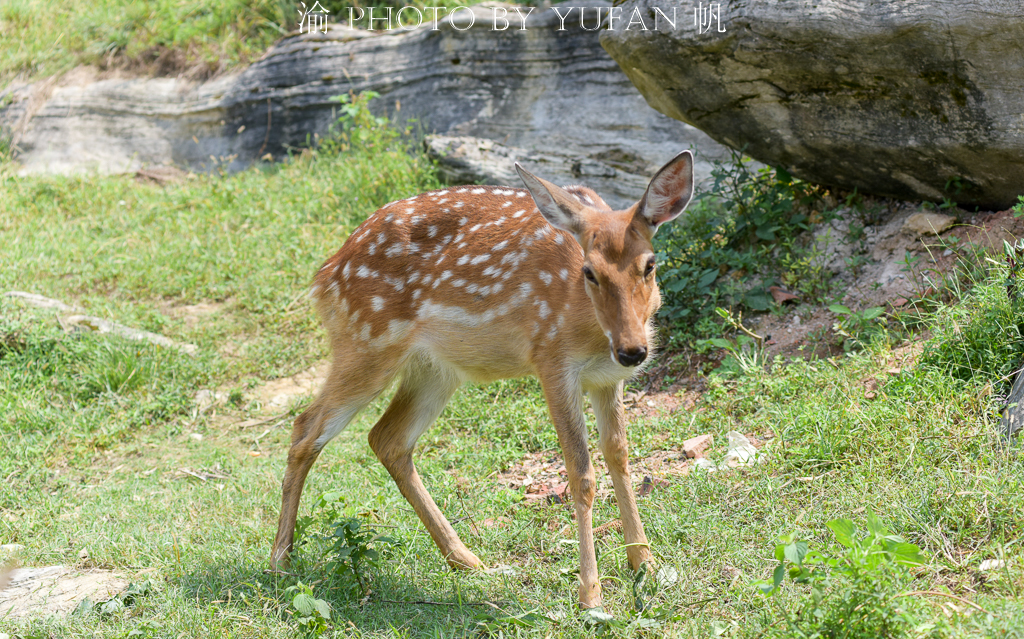 周末去哪儿玩重庆巴南,巴南周末户外带孩子去哪里玩