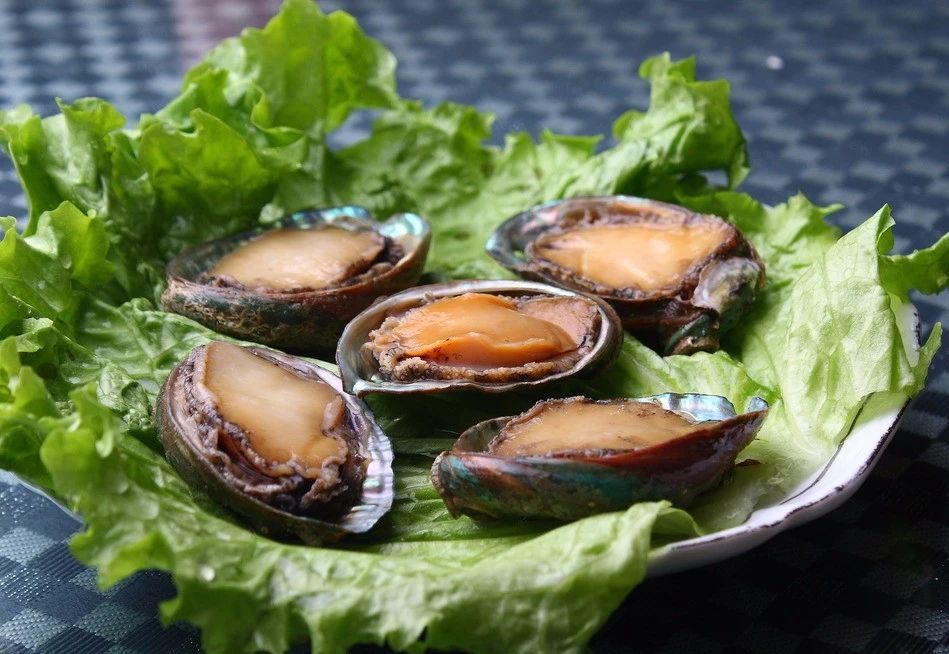 鲍鱼鲜香,鲍鱼的味道真香