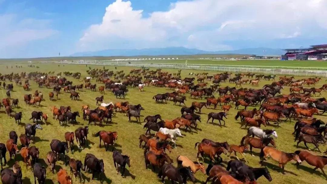 这就是昭苏，万物复苏的地方