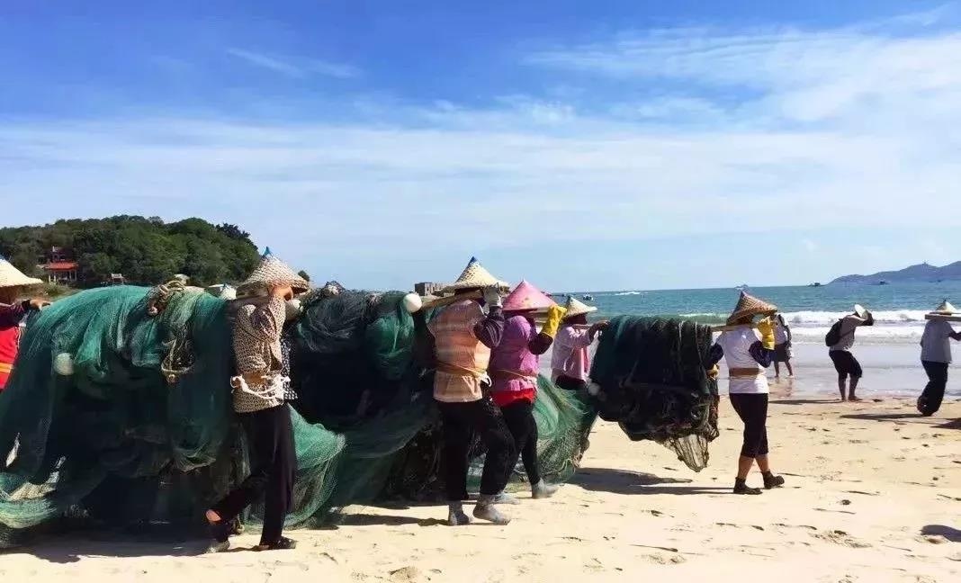 渔家女事件,渔家女海鲜视频